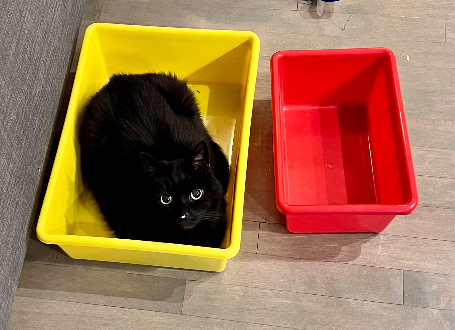 Multicoloured storage bin