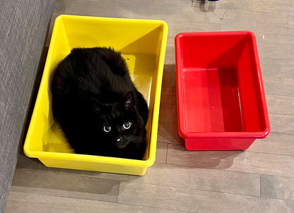 Multicoloured storage bin