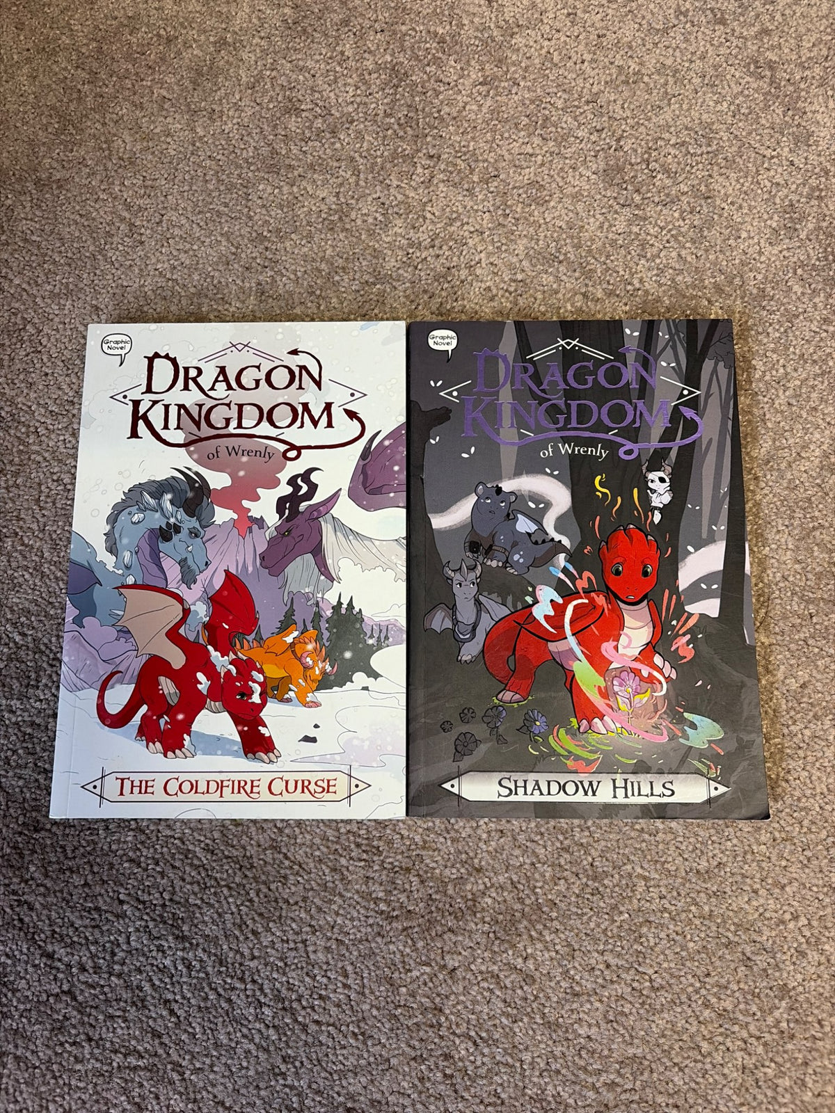 Dragon kingdom books