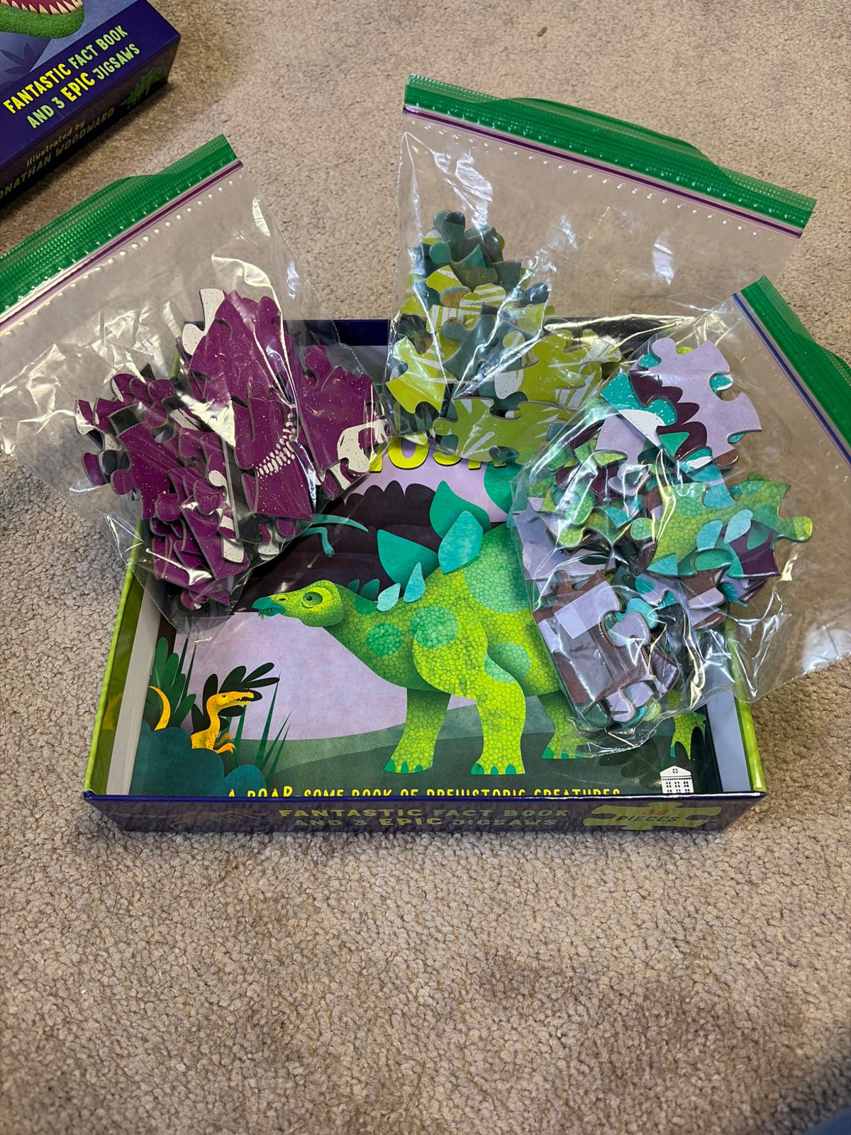 Dinosaur puzzles and fact book