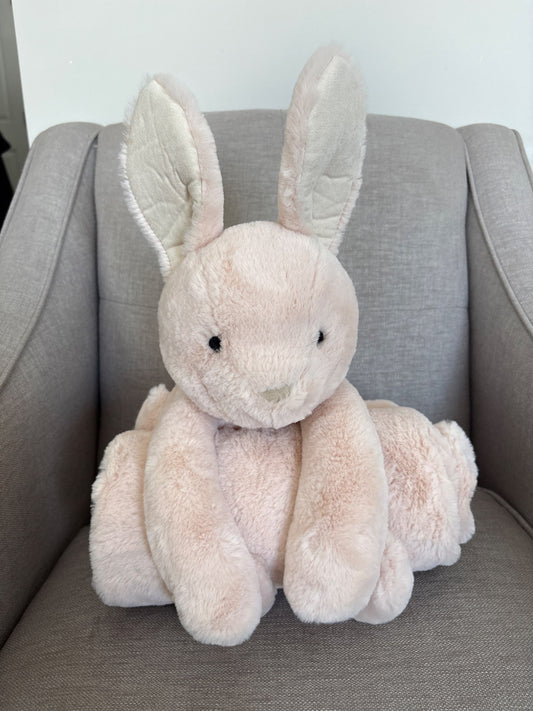 Pottery Barn Kids Baby Blanket & Bunny Stuffie