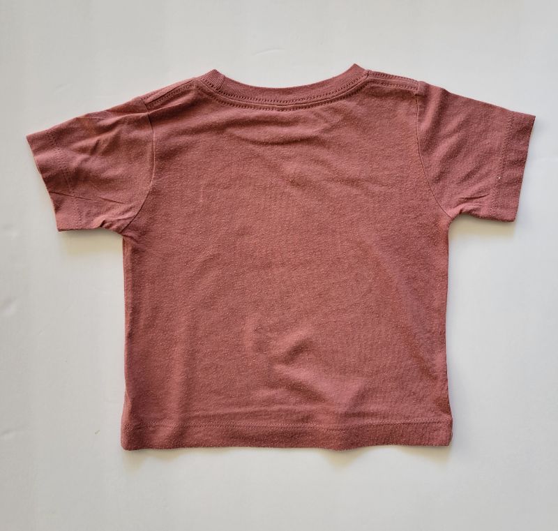 Aspen + Company, Chunky Monkey t-shirt, mauve, 6-12 months, VGUC, Kids 12 Month (9-12M)