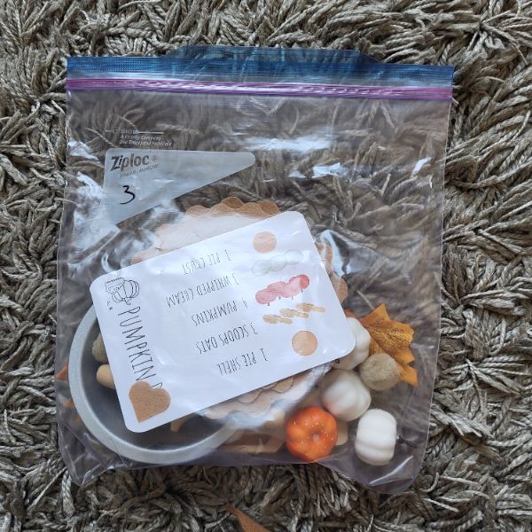 Pumpkin Pie Sensory Kit (#3)