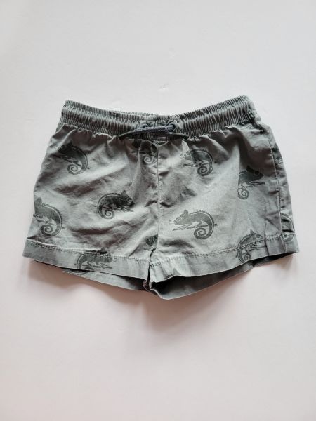 Zara, lizard swim shorts, grey, 2-3 years, EUC