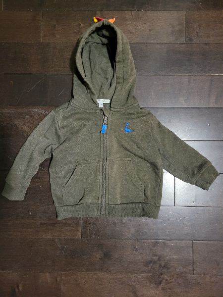 Dinasour Hoodie, 18-24M, Kids 24 Month (18-24M)