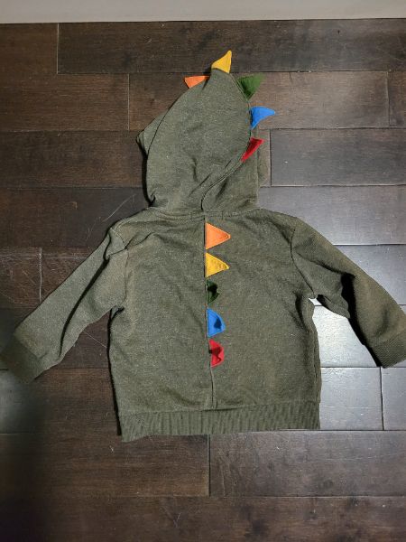 Dinasour Hoodie, 18-24M, Kids 24 Month (18-24M)