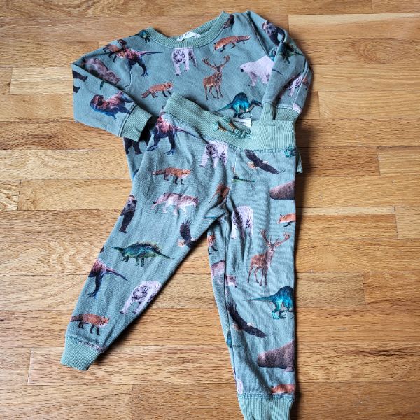 3T H&M Animal + Dinosaur Outfit - Sweats + Crewneck, Kids 3T