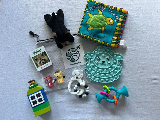 Baby Travel Kit #5, 6-18 months
