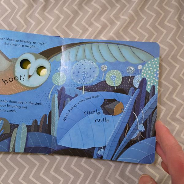 Usborne Peep Inside Night Time