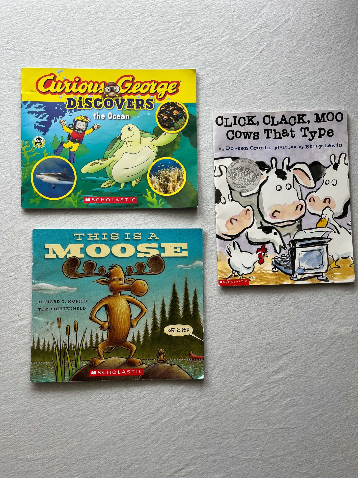 3 Paperback Animal Book Bundle