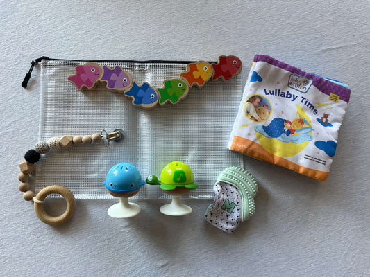 Baby Travel Bundle #13