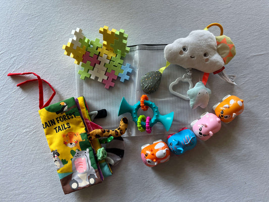 Baby Travel Bundle #18