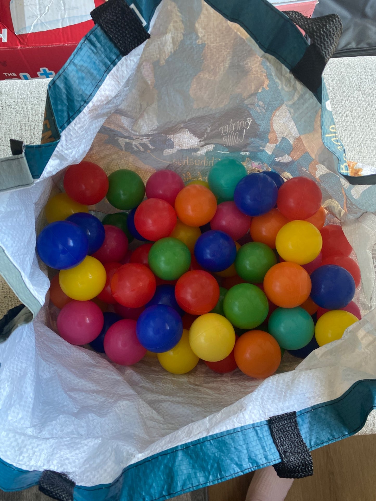 Bag of ball pit balls