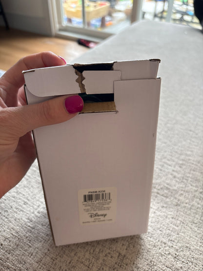 Brand new princess water bottle