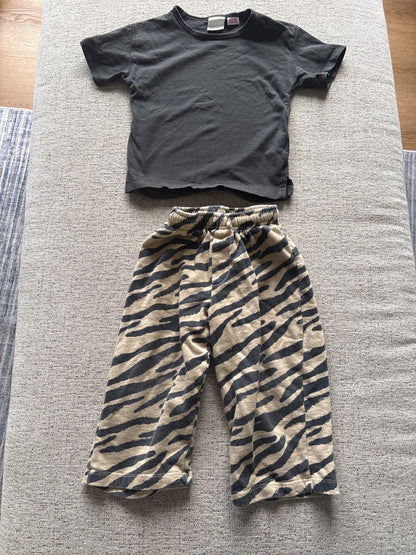 Zara 3T Tiger Print Outfit, Kids 3T