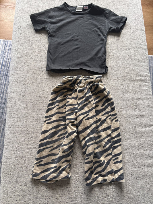 Zara 3T Tiger Print Outfit, Kids 3T