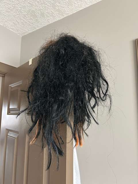 Halloween Hair Wig  - No size listed, Kids 16