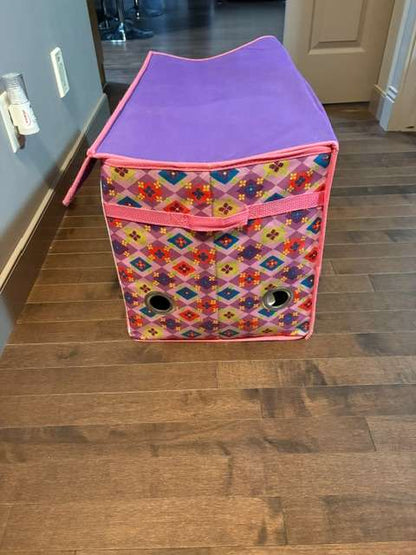 Dora Toy Storage Box  & Garbage Bin