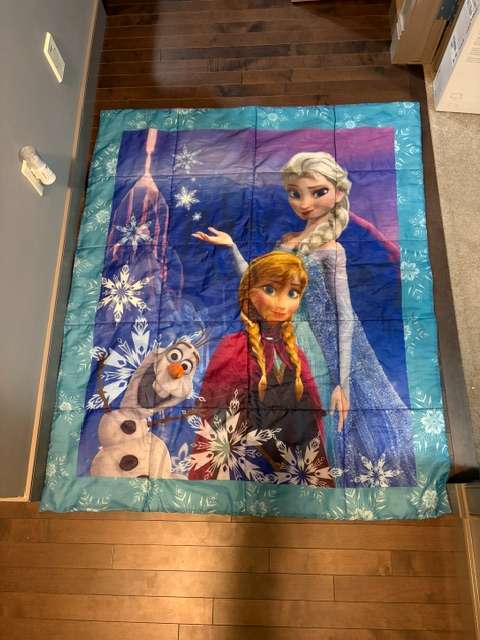 Disney Frozen Comforter