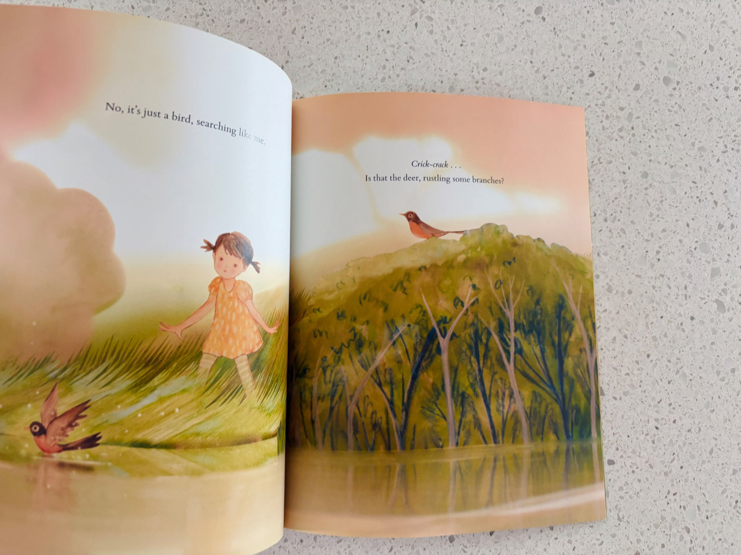 Sweet Story Book Duo