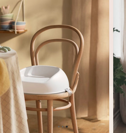 Baby Bjorn Booster Seat MSRP: $70.00