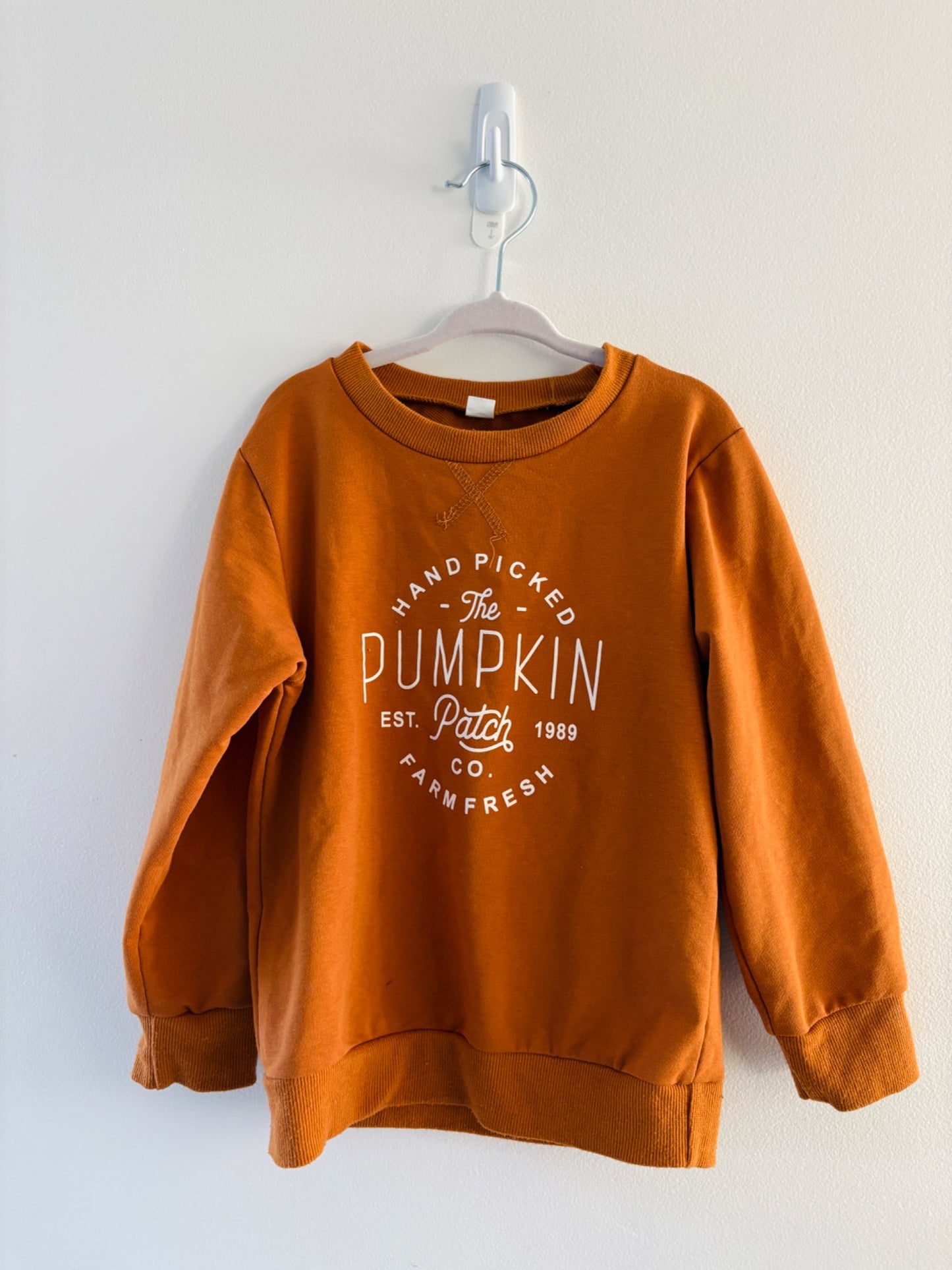 Autumn Pumpkin Patch Sweater , Kids 8