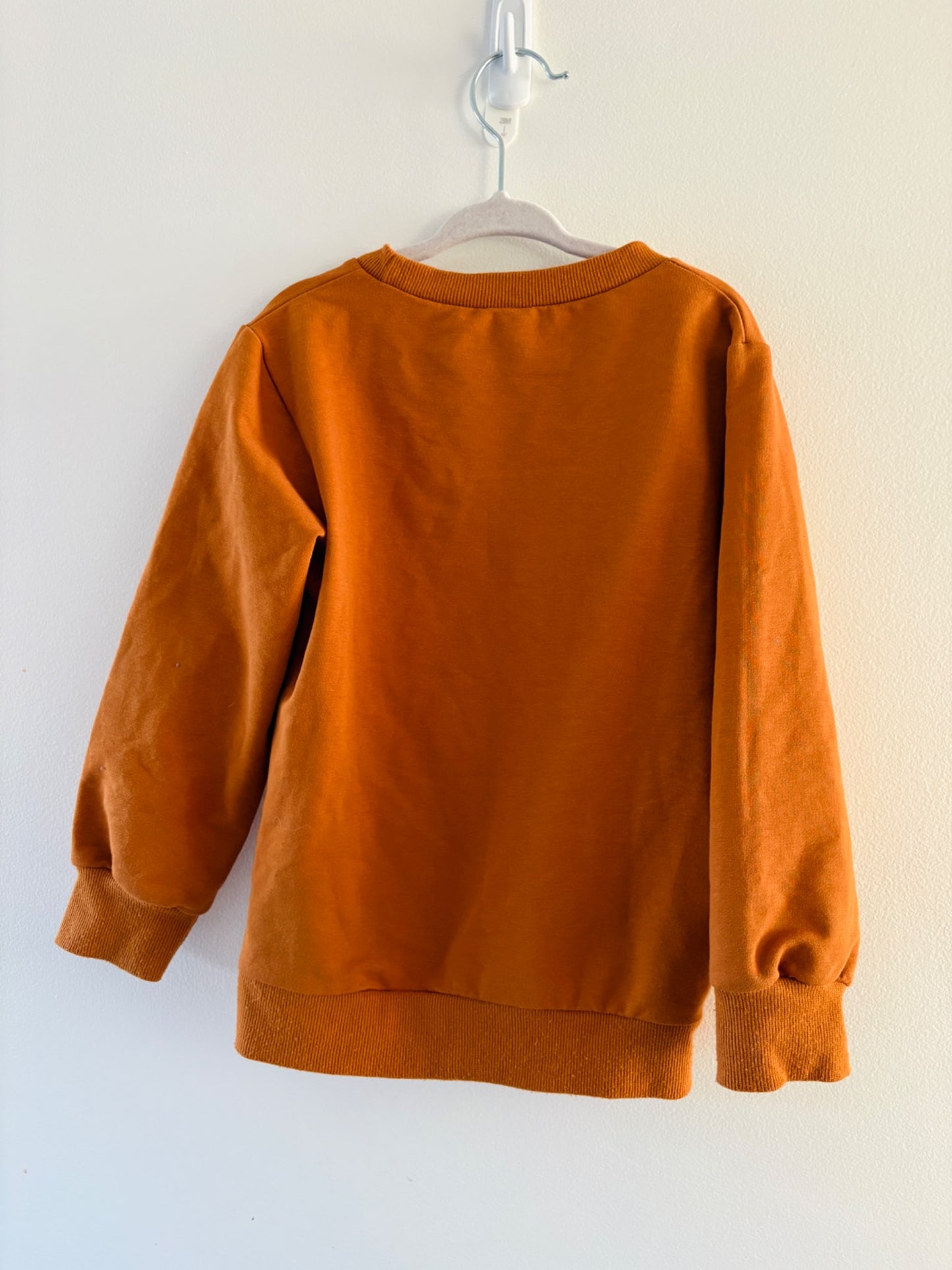 Autumn Pumpkin Patch Sweater , Kids 8