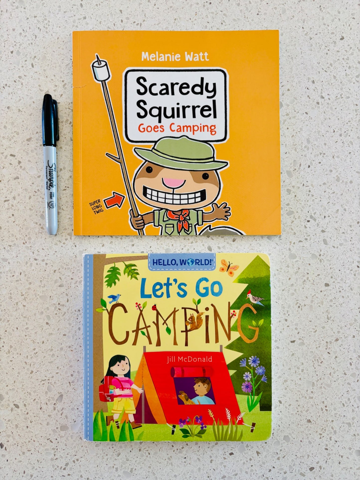 Camping Book Pair