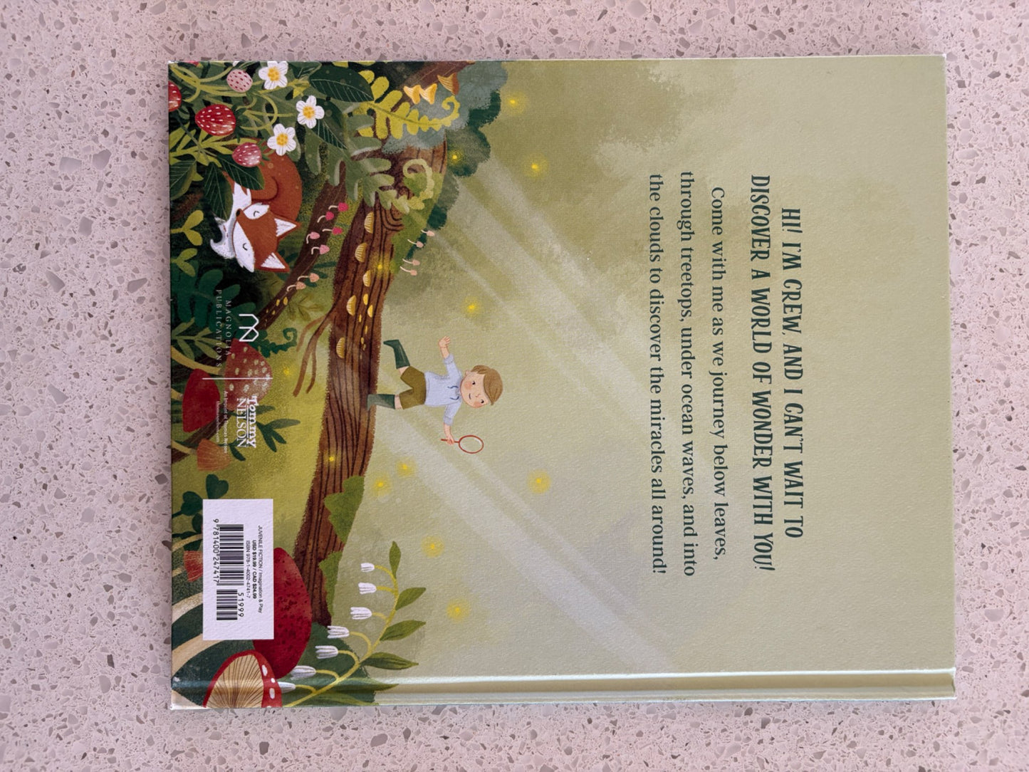 The Wonder You See Book