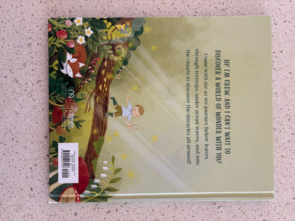 The Wonder You See Book