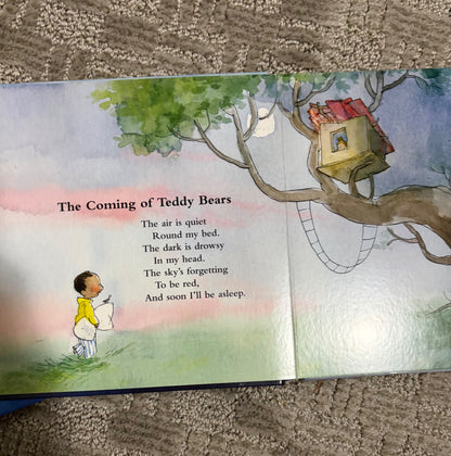 Bundle of two nursery rhyme books