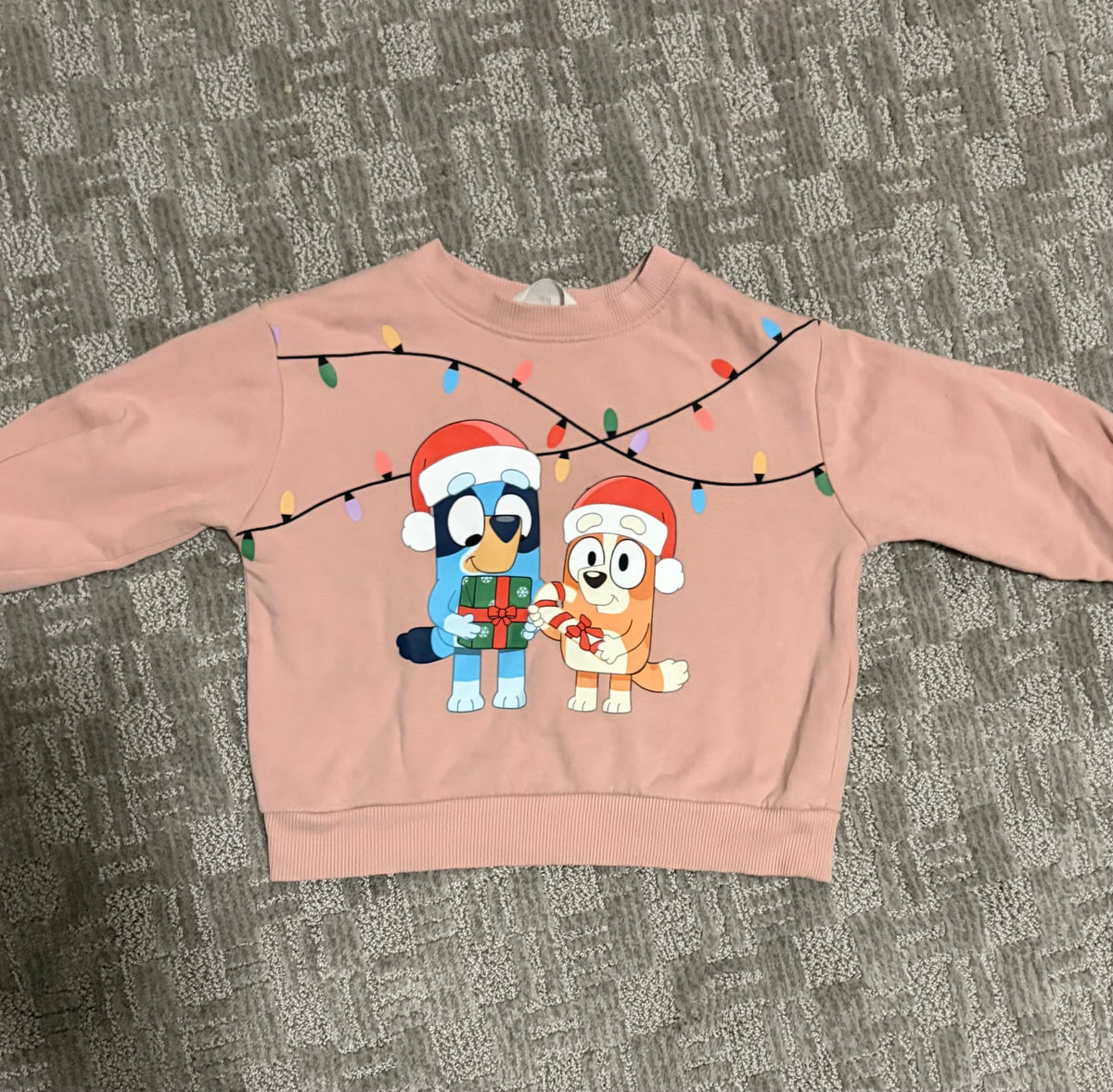 Bluey and Bingo Christmas sweater , Kids 4/4T