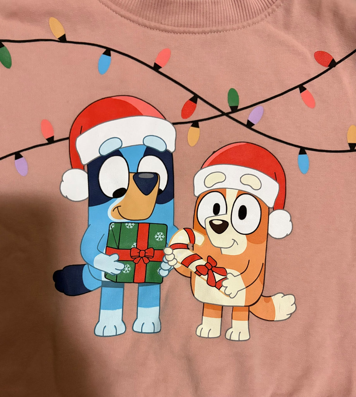 Bluey and Bingo Christmas sweater , Kids 4/4T