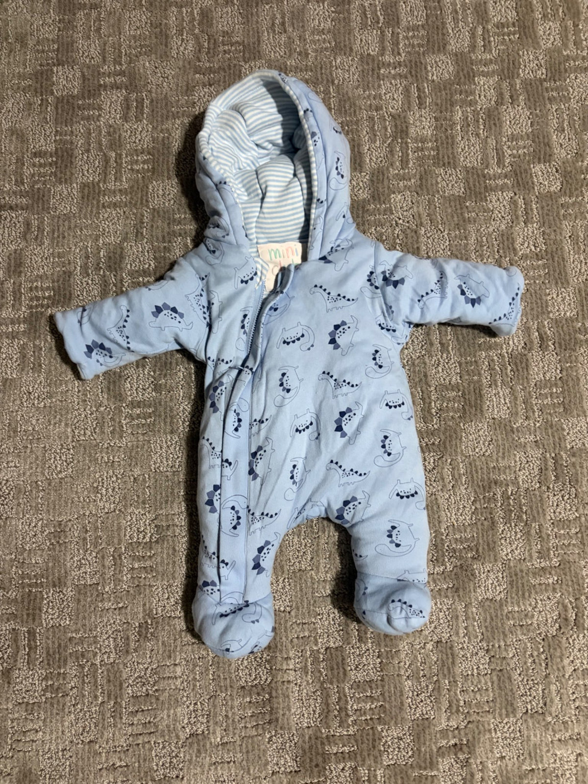 Blue bunting suit- Dino print