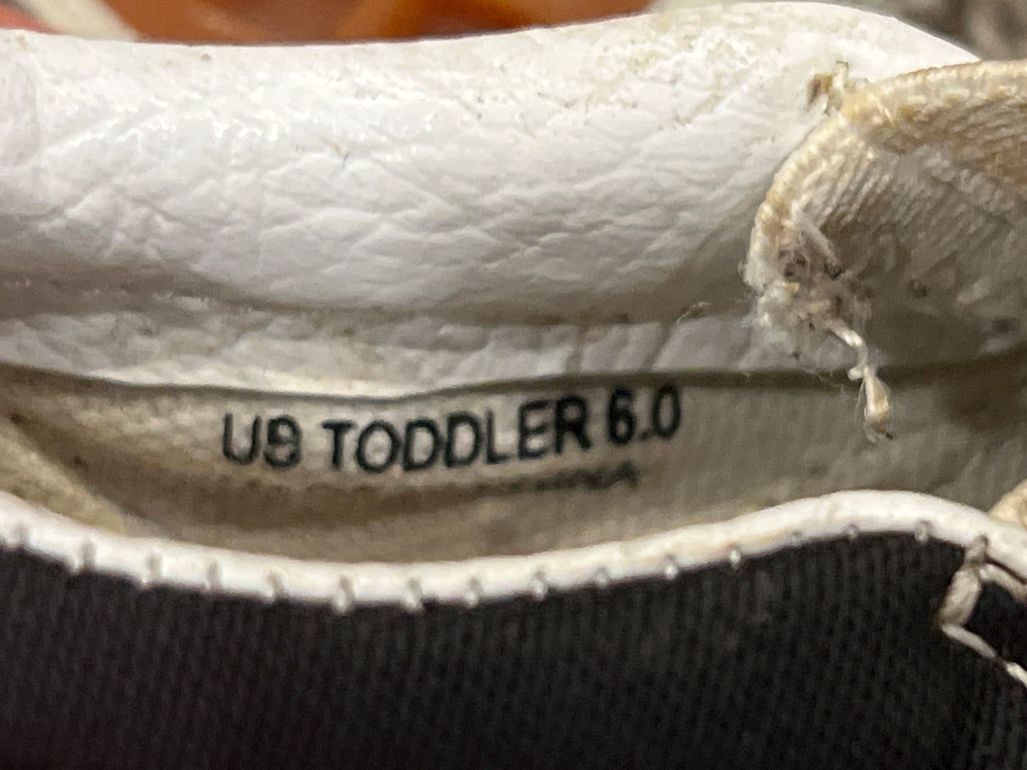 Toddler Boys, Monster Vans, size 6, VGUC, Shoes 6 (Walkers:12-24 mth)
