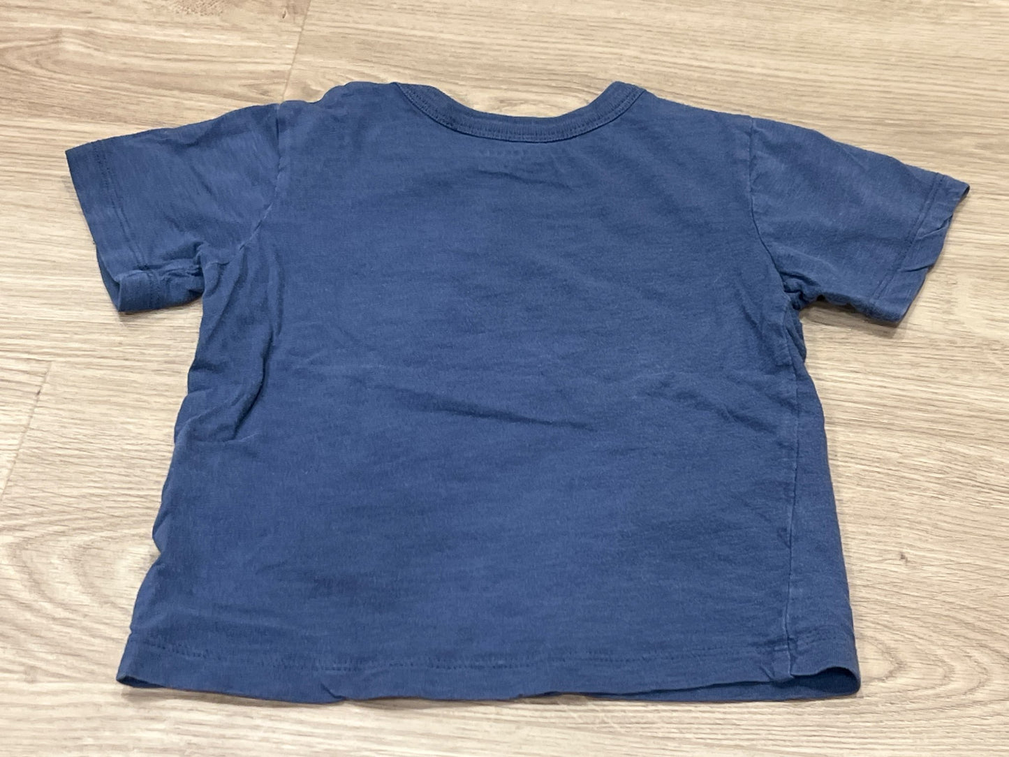 Boys T-shirt Bundle, size 2, VGUC (babyGAP, Pekkle and Jow Fresh brands), Kids 2T