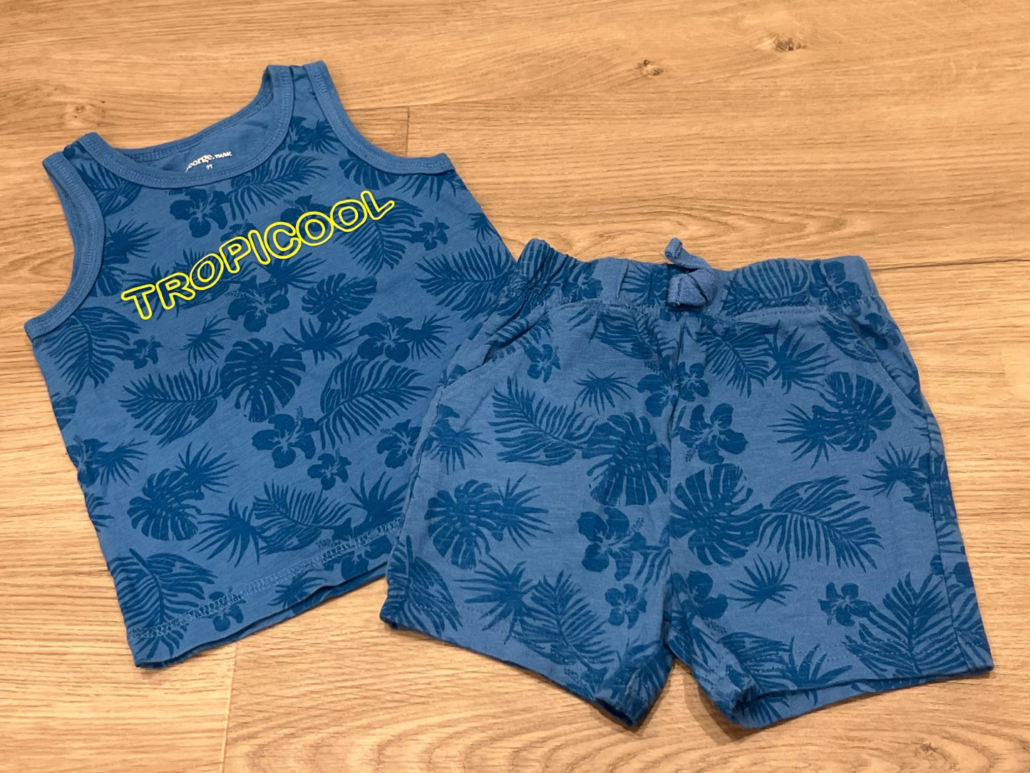 Boys Summer Bundle, 3 tank tops and 1 pair of shorts, size 2T, VGUC , Kids 2T