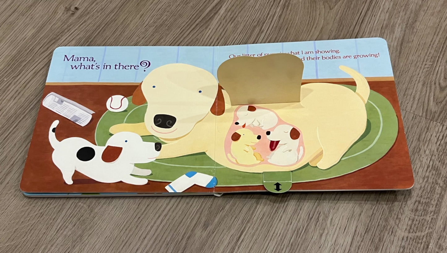 Bundle of 2 New Baby Books for the new big brother or sister, GUC