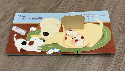 Bundle of 2 New Baby Books for the new big brother or sister, GUC