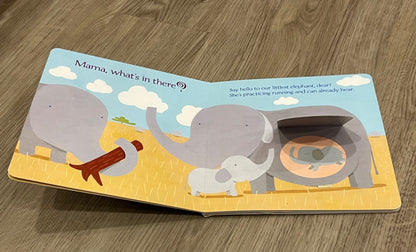 Bundle of 2 New Baby Books for the new big brother or sister, GUC