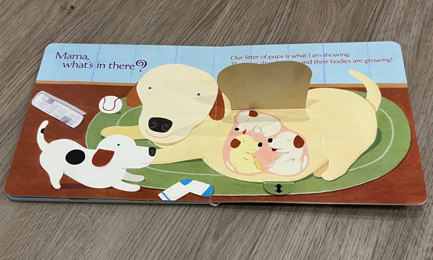 Bundle of 2 New Baby Books for the new big brother or sister, GUC