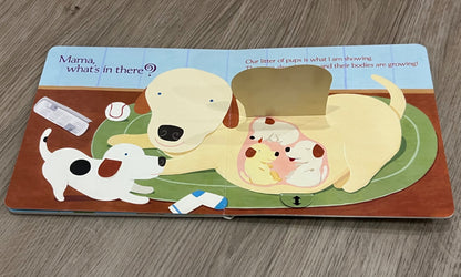 Bundle of 2 New Baby Books for the new big brother or sister, GUC