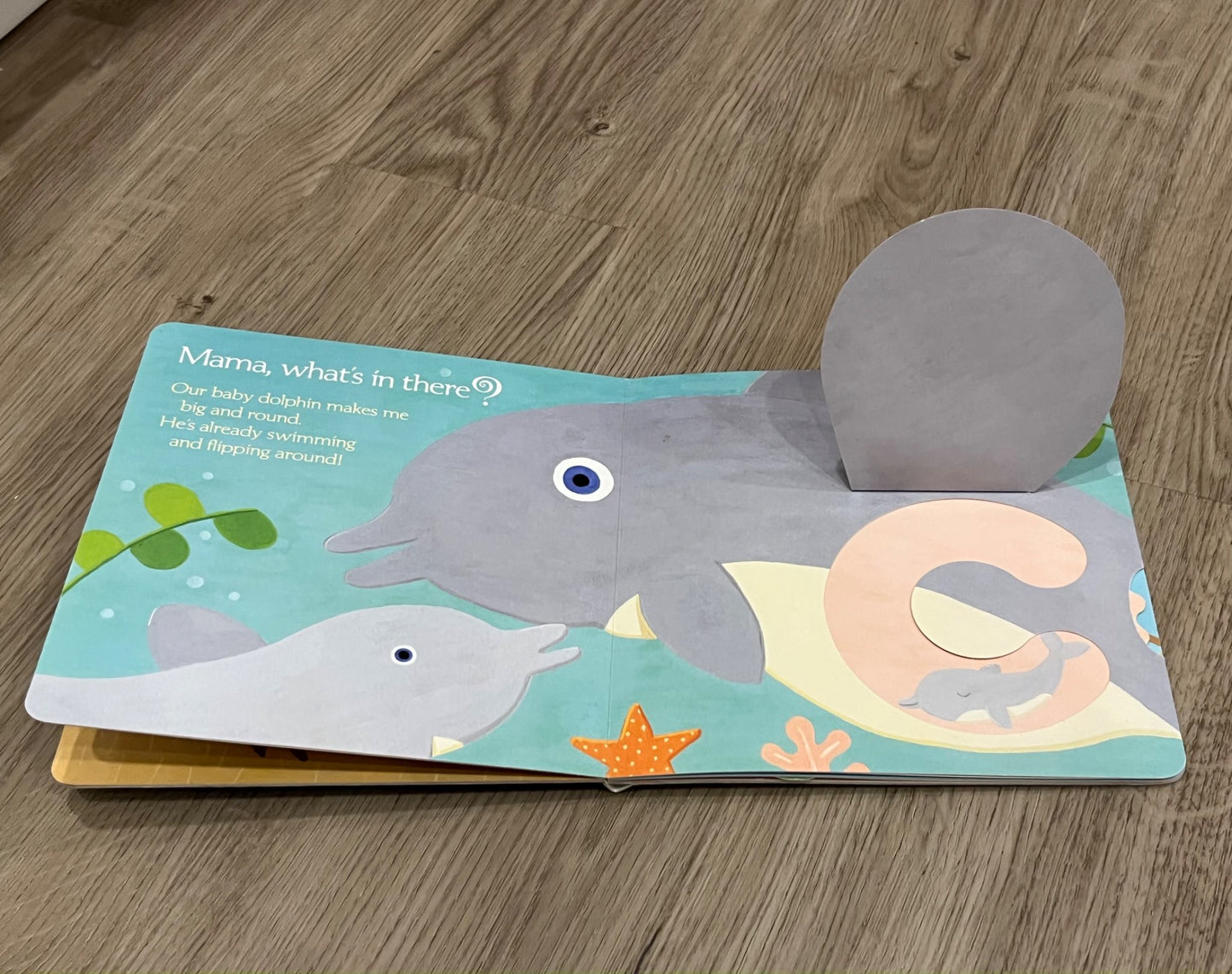 Bundle of 2 New Baby Books for the new big brother or sister, GUC