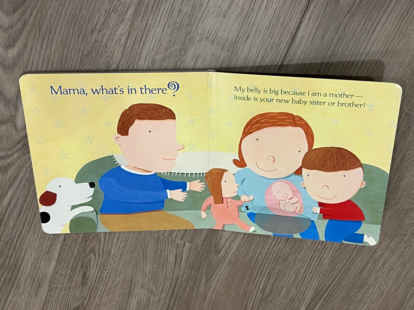 Bundle of 2 New Baby Books for the new big brother or sister, GUC