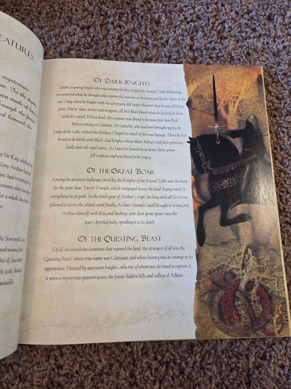 Arthur of Albion, hard cover chapter book 8