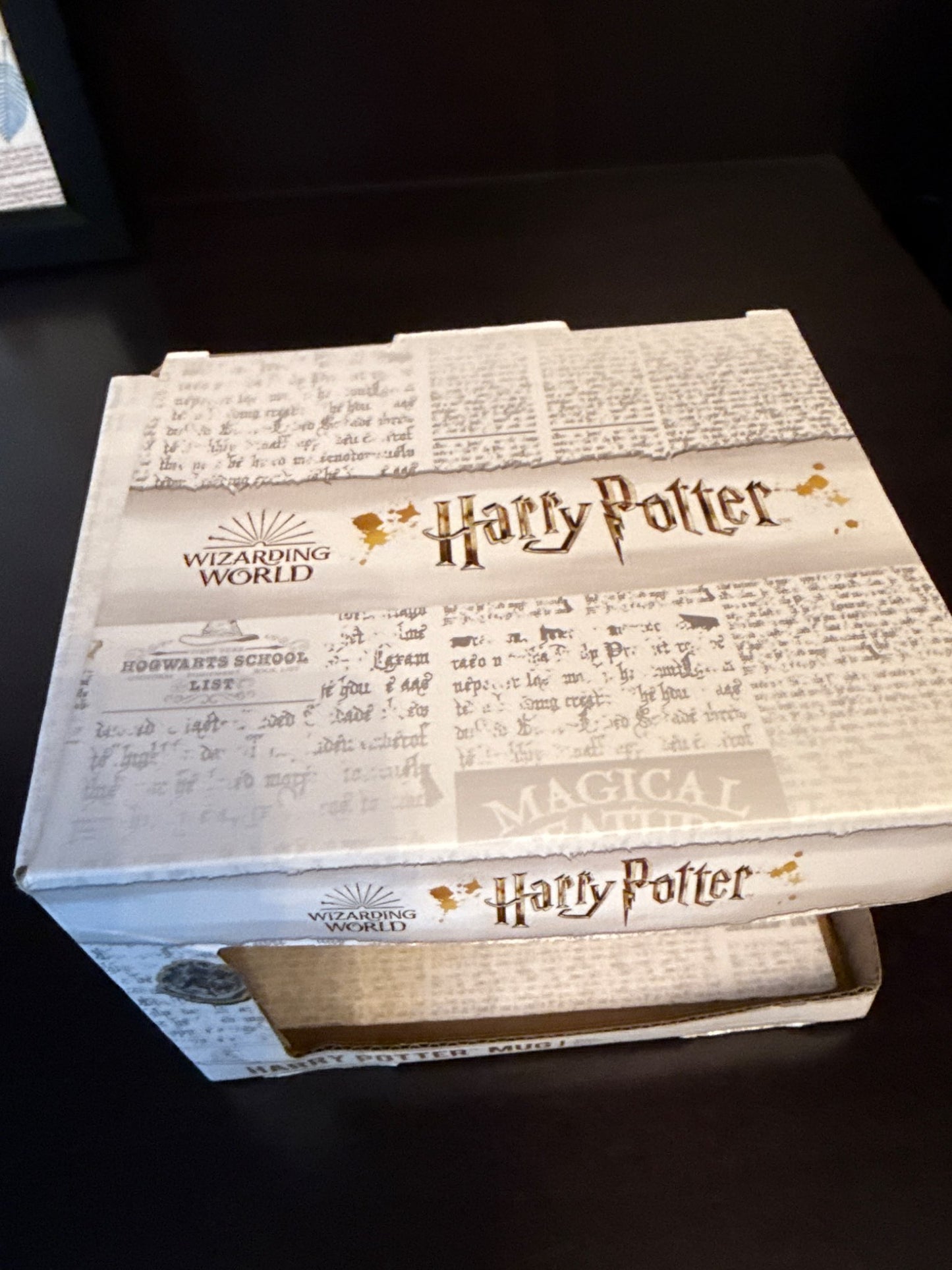 Wizarding world Harry Potter mug