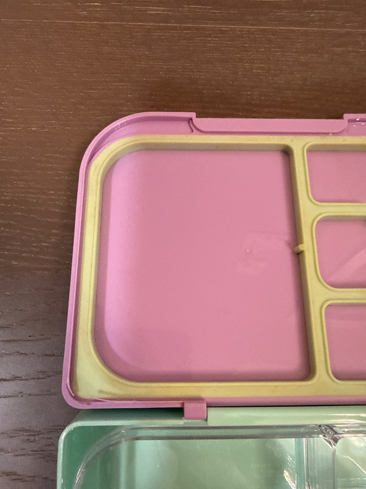 PC bento box purple& mint