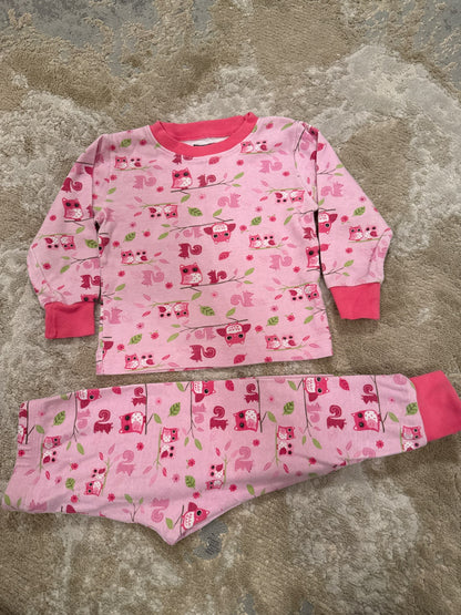 Kirkland size 2 pink owl  long sleeve pjs, Kids 2T