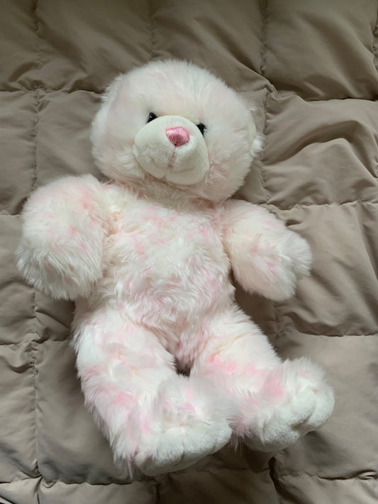 Build a Bear