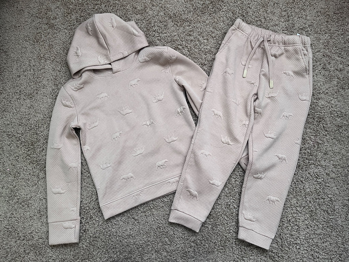 Boy, 2 piece long sleeve hooded top and jogger set, 6T, Kids 6/6X
